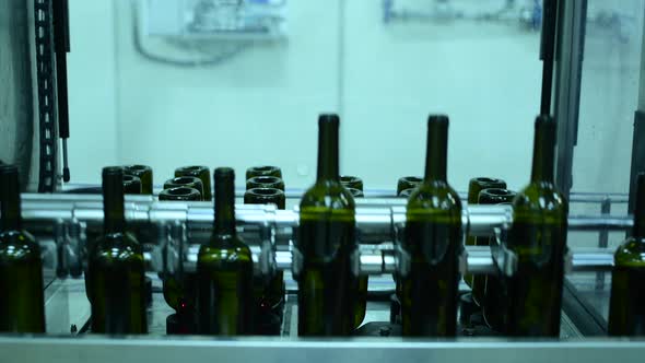 Conveyor with Wine Bottles at Wine Factory White Wine Production Bottle Washing and Filling