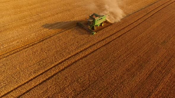 Combine Harvester in the Field.