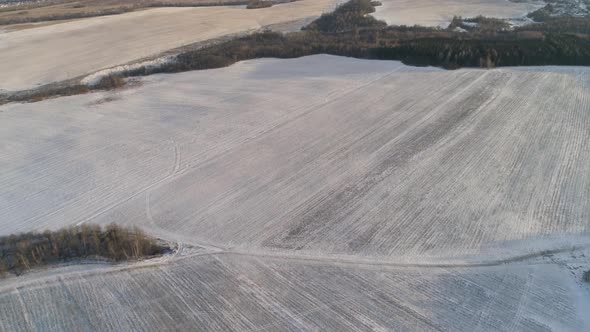 Winter Landscape Forest Field