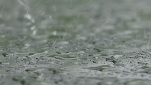 Falling Raindrops and Splash alt