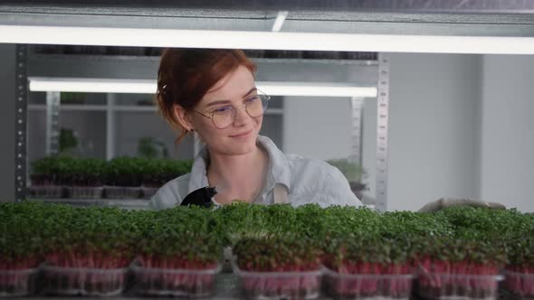 Organic Business Young Female Farmer with Glasses Tending Micro Green in Containers and Sprinkle