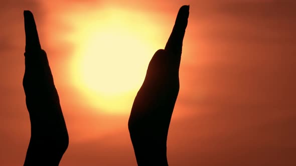 Details Hands Silhouette Applaud Warm Sunrise