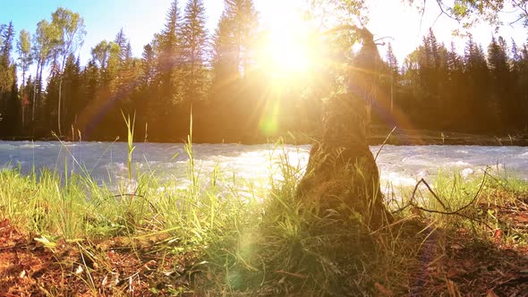 Meadow at Mountain River Bank