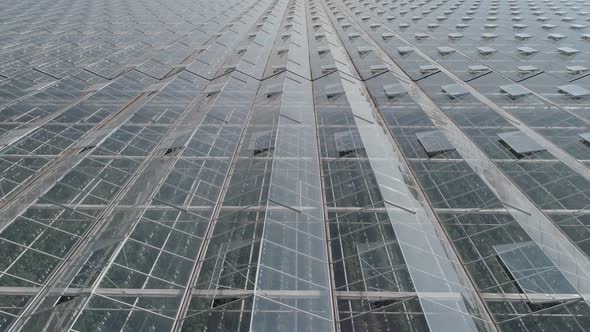 Flying Over Glass Greenhouses Growing Plants in Large Industrial Greenhouses View From a Height