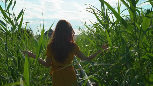 Woman walking in a reed field