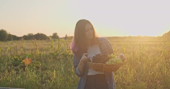 Basket with Harvest of Grapes in Hands of Young Girl