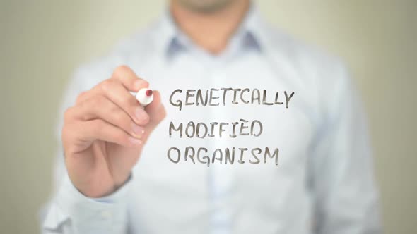 GMO, Businessman Writing on Transparent Screen