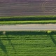 Road Among Green Fields and Meadows - VideoHive Item for Sale