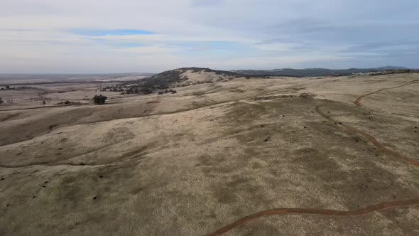 Wide angle drone footage over rolling open countryside with winding paths and trees covering a hill