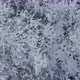Flying above Snowy trees, 4K Aerial Drone Footage - VideoHive Item for Sale