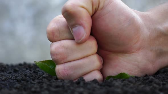 Struggle Against Gardening. Destruction of the Ecosystem.