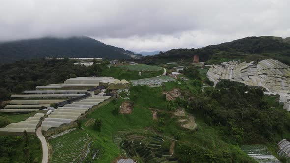 Cameron Highlands, Pahang Malaysia