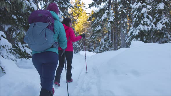 Adventure Girl Friends Hiking in Canadian Mountain Nature During Winter Sunny Morning