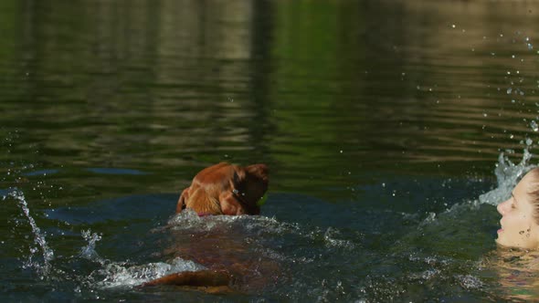 Girl playing with a brown dog, in a lake