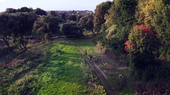 Two horse riders on horseback walking along country track, aerial