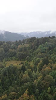 Carpathian Mountains