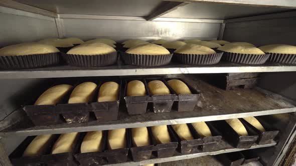 Jars for loaves of raw bread in bakery