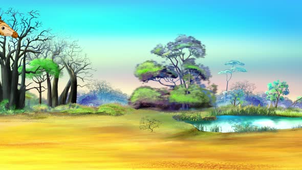 African giraffes in the savanna on a sunny day animation