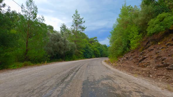 Car Drive Forest (4K)