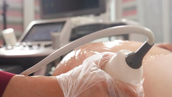 Obstetric Ultrasound Scans. Ultrasound Investigation of Pregnant Woman. Pregnancy and Healthcare