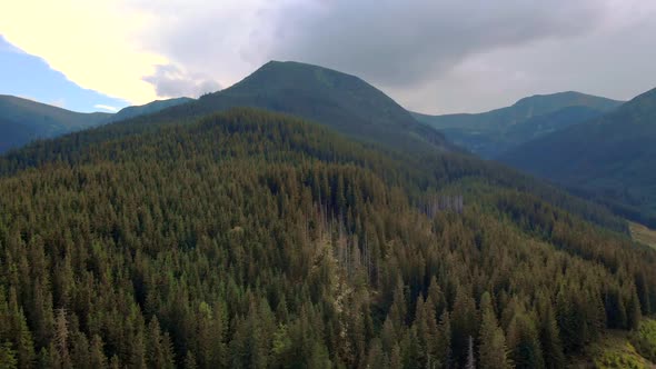 Mountain View on Beautiful Summer Day