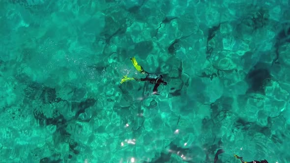 Aerial View of Divers Swimming Underwater Sea