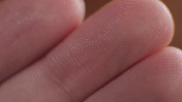 Macro View Fingerprints Close Up Extreme of a Finger Print on a Human Thumb Closeup