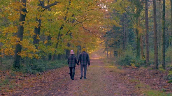 Couple Man and Woman Mid Age Walking in the Forest During Autumn Season in Nature Trekking with