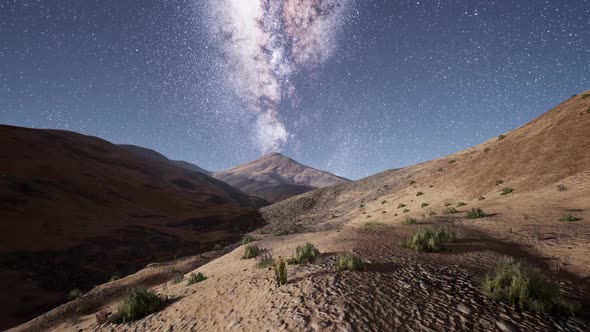 Milky Way Stars