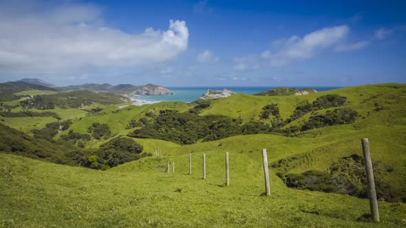 New Zealand countryside