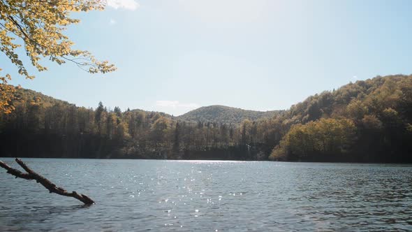 Beautiful Lake And Nature Around It