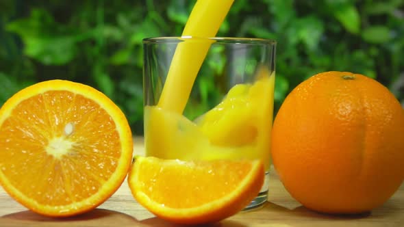 Freshly Squeezed Orange Juice Is Poured in a Glass on the Background of Greenery