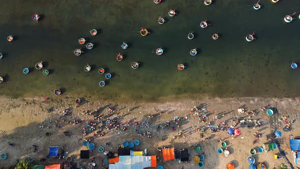 Aerial top down, Vietnam coast crowded with fishermen, round coracle fishing boats floating on shore