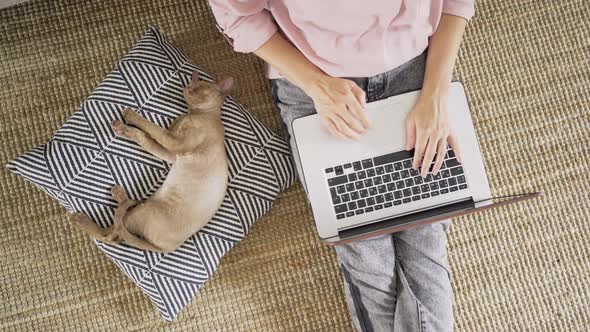 Lady Types on Laptop Near Beige Kitten Sleeping on Pillow