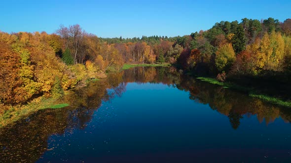 Colorful Autumn Forest Wood on the Lake