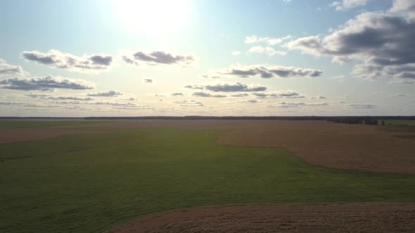 Bird Eye View Bright Sun Shines Over Green and Brown Field