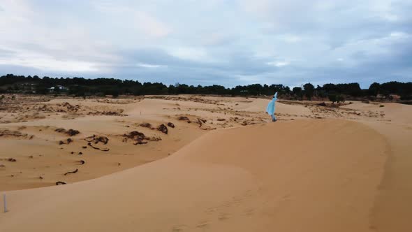 Aerial successful young woman celebrating life standing on top of desert sand dunes with wavy blue d