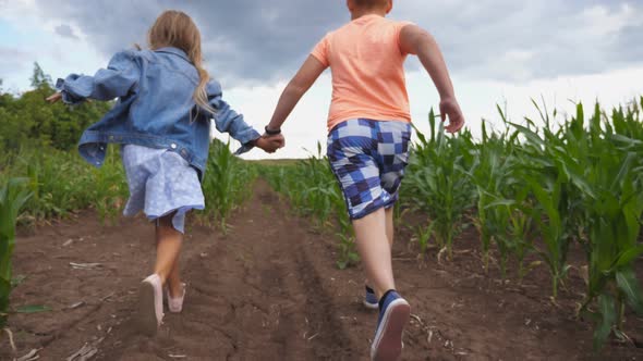 Little Girl and Boy Holding Hands of Each Other and Having Fun While Running Through Corn Field