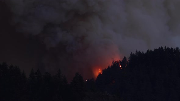 Forest Fire Near Portland Oregon