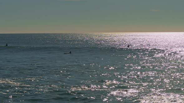 People swimming in the Atlantic Ocean at sunset