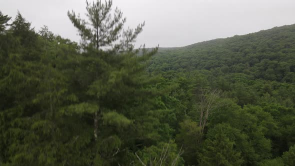 Drone shot in the Allegheny National Forest in Pennsylvania.