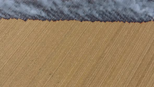 Burning Stubble on Symmetrical Straight Line