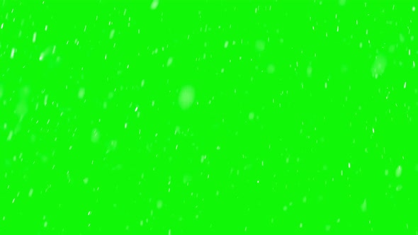 Real Snow on Green Screen, It Is Snowing in Cold Winter