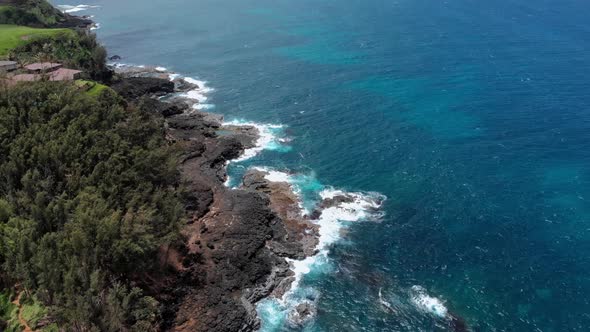 Aerial drone shooting of ocean coast with a forest. roofs of houses are visible (Kauai, Hawaii, USA)