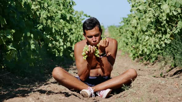 Tanned Guy Eating Grapes From Bunches Greedily