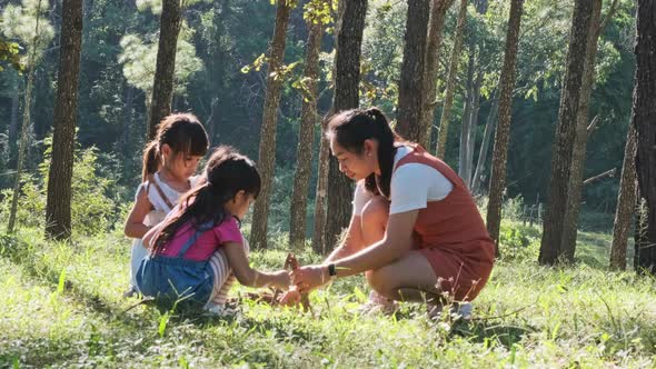 Mother and two daughters collecting firewood and kindling bonfire at camping place in forest.