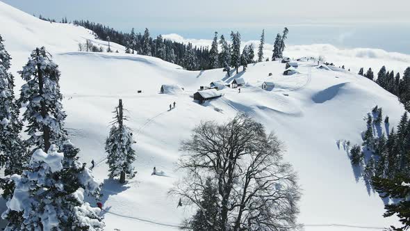 A Group of Ski Touring Enthusiasts Among Snowy Landscapes