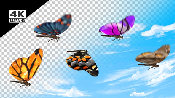 Butterfly Pack 4k alt