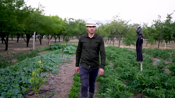 Farmer Walking In Field