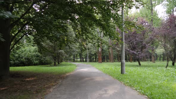 4K steady footage of a beautiful Park Lotnikow in Krakow, Poland